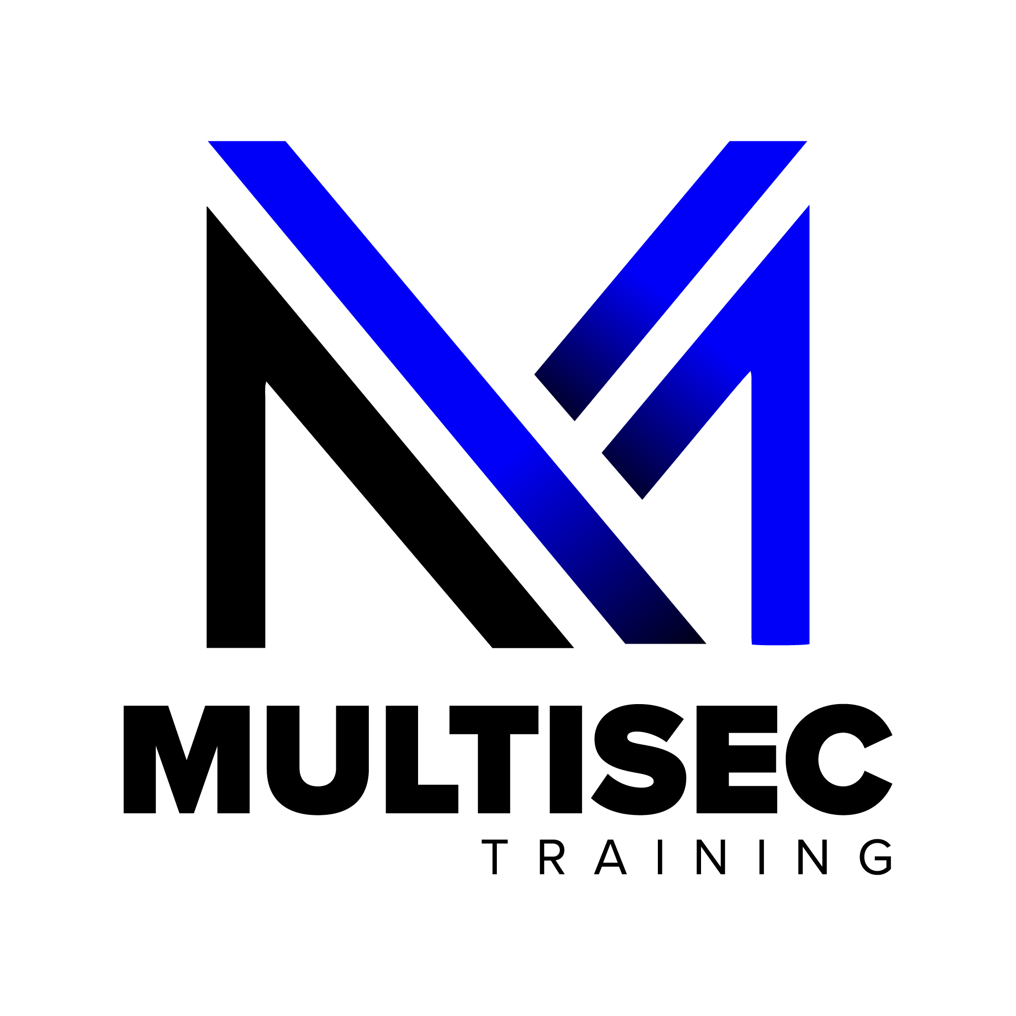 Multisec Training